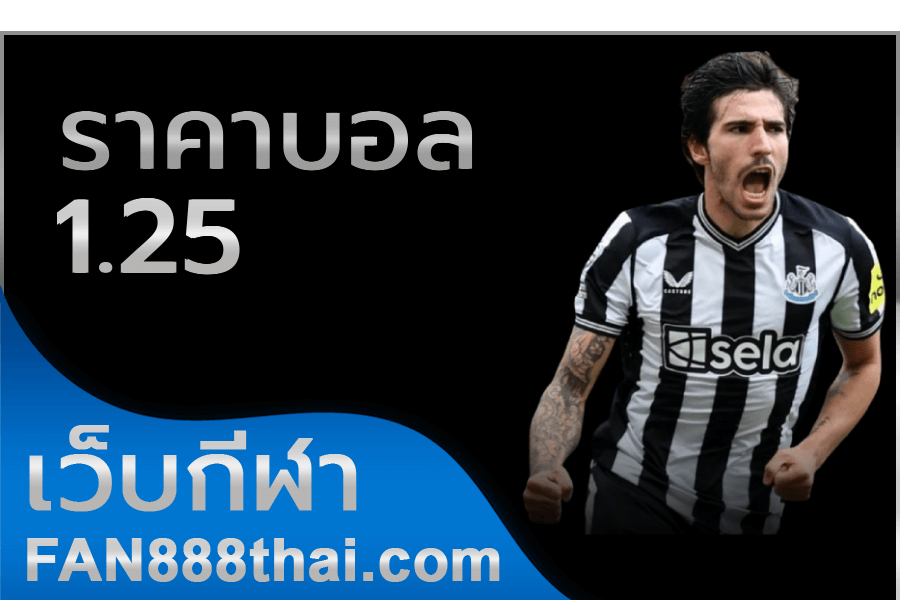 Read more about the article ราคาบอล 1.25 เล่นด้วยราคา ลูกควบลูกครึ่ง เล่นยังไง